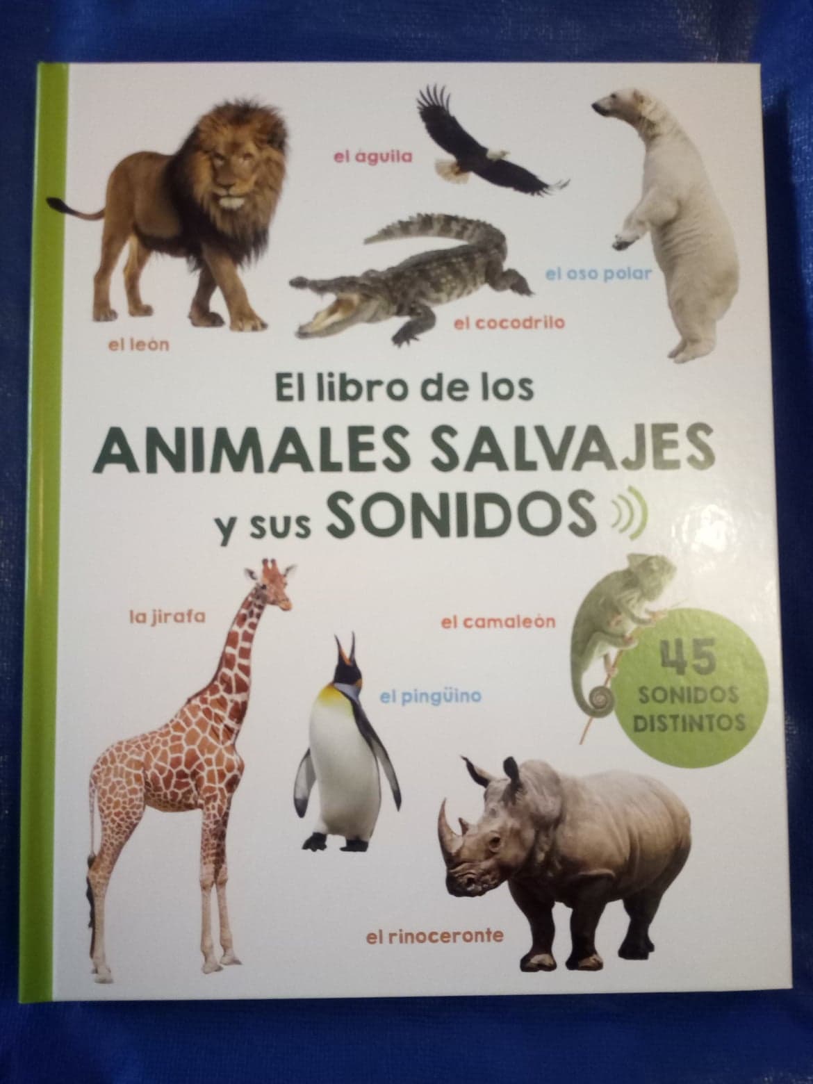 Distribución Extra Tropical El libro de los animales salvajes y sus sonidos - Cuentos de Amatxu